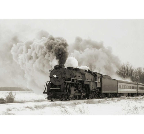 Picture of TRAIN ARRIVAL WALL ART