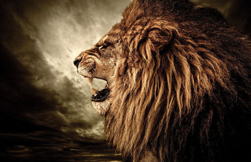 Picture of LION WALL ART