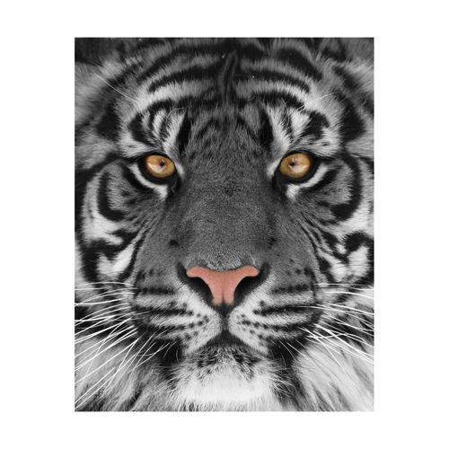 Picture of TIGER WALL ART