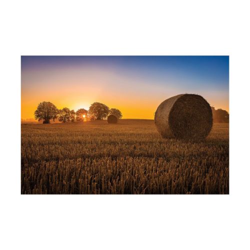Picture of HAY BALE WALL HANGING