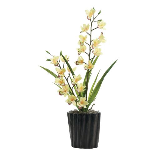 Picture of YELLOW ORCHIDS