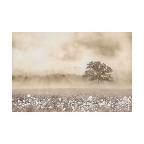 Picture of TREE IN A FLOWER FIELD TEXTURED CANVAS